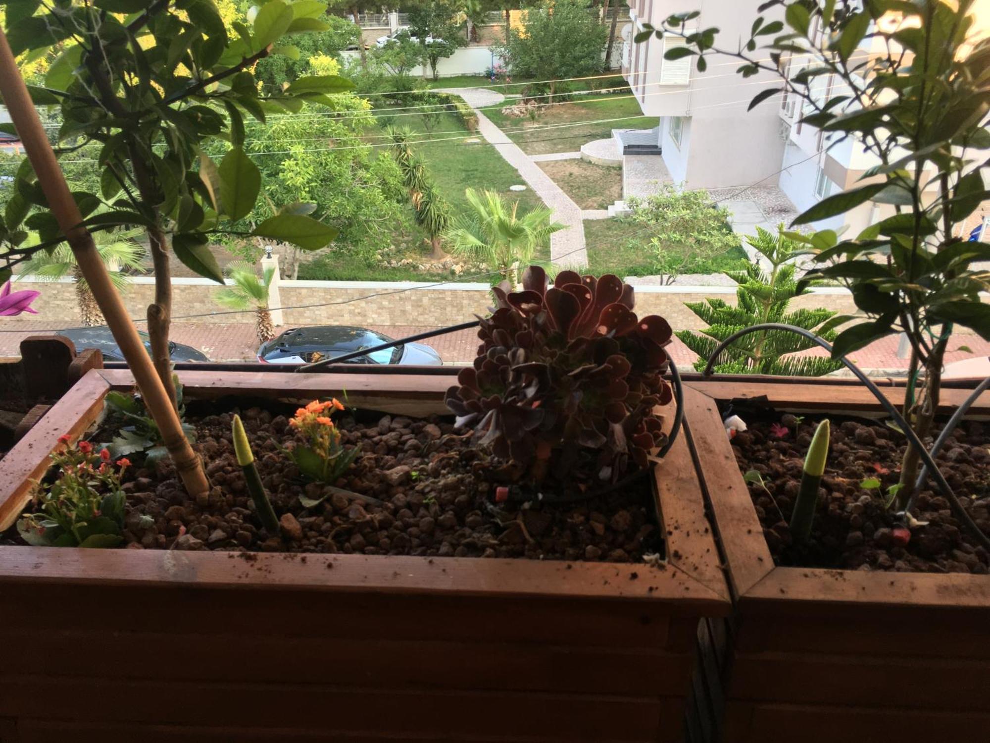 Orange Garden Διαμέρισμα Αττάλεια Εξωτερικό φωτογραφία